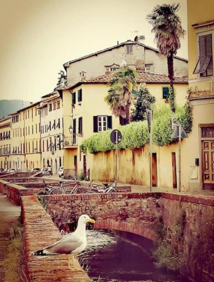 Lo Stellario Di Lucca Apartment Bagian luar foto